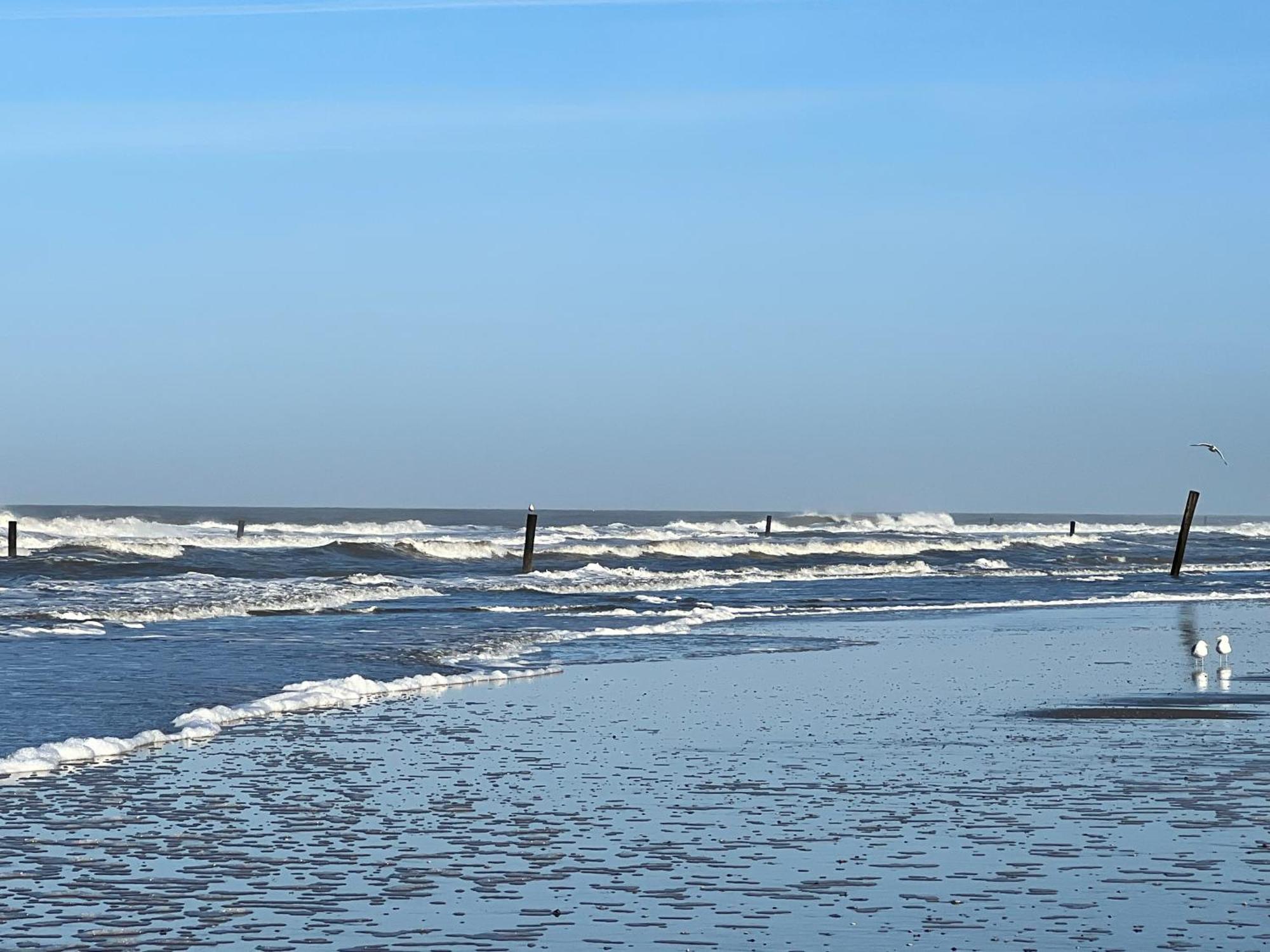 Ney-Stay Ferienwohnung Norderney Bagian luar foto